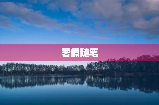 暑假随笔