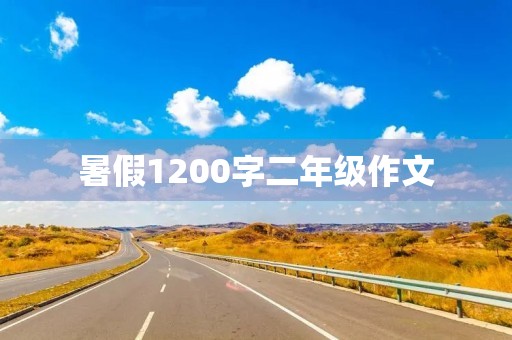 暑假1200字二年级作文