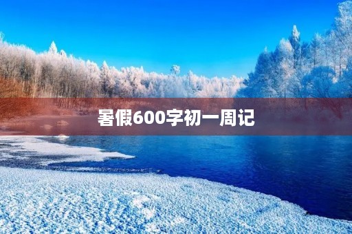 暑假600字初一周记
