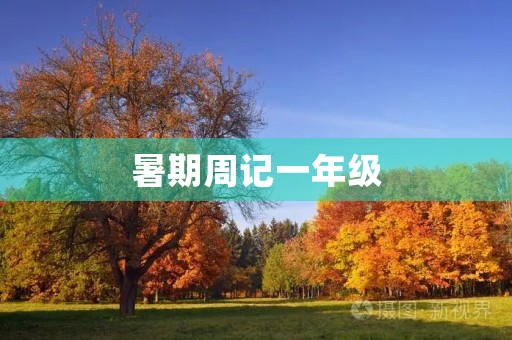 暑期周记一年级