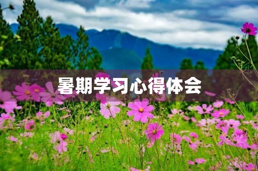 暑期学习心得体会