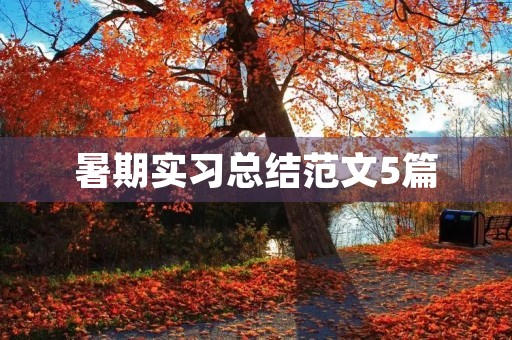 暑期实习总结范文5篇