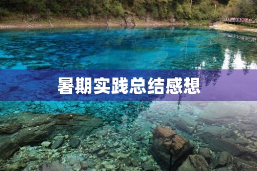 暑期实践总结感想