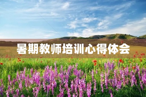 暑期教师培训心得体会 暑期教师培训心得体会