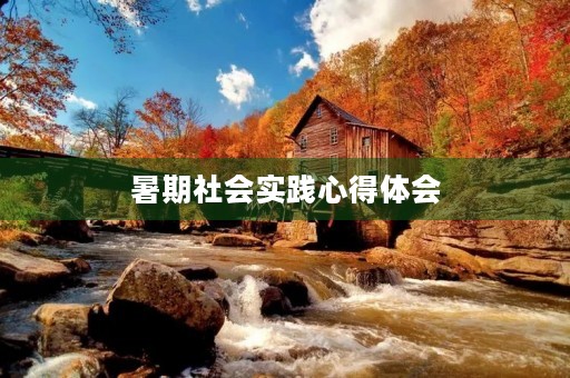 暑期社会实践心得体会