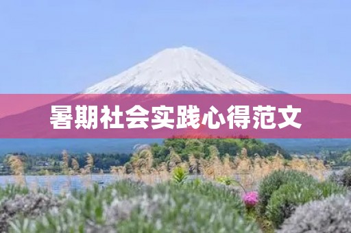 暑期社会实践心得范文