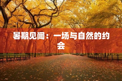 暑期见闻:一场与自然的约会 暑期见闻:一场与自然的约会