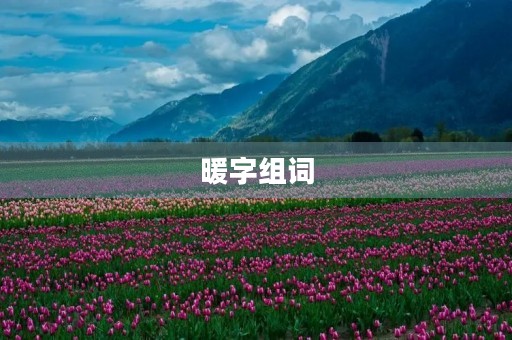 暖字组词(暖的组词) 暖字组词(暖的组词)