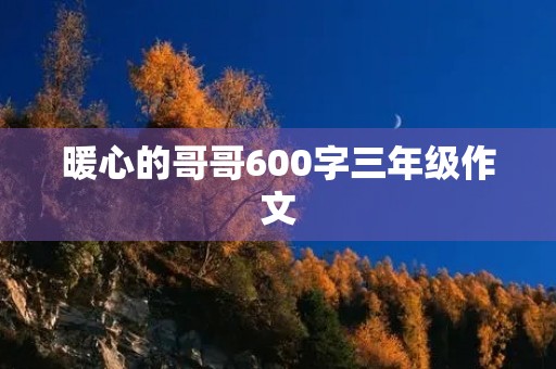 暖心的哥哥600字三年级作文 暖心的哥哥600字三年级作文