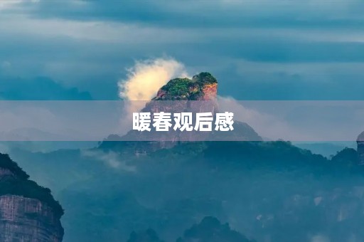 暖春观后感