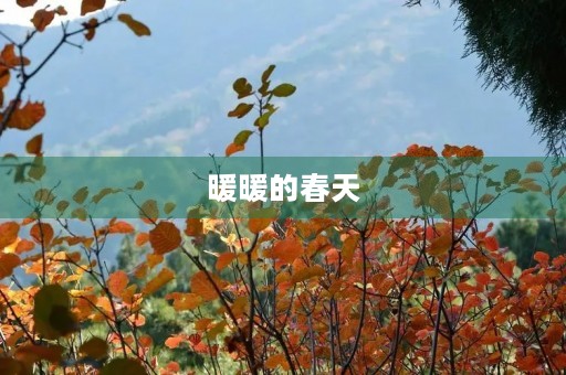 暖暖的春天