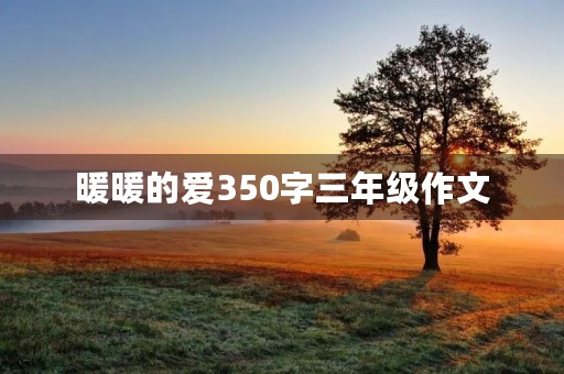 暖暖的爱350字三年级作文 暖暖的爱350字三年级作文