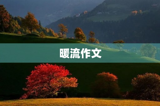 暖流作文 暖流作文