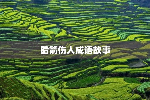 暗箭伤人成语故事 暗箭伤人成语故事