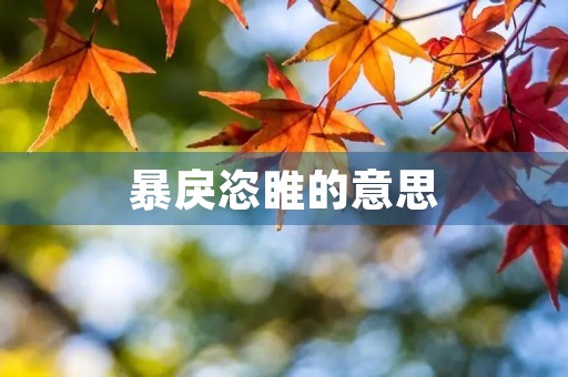 暴戾恣睢的意思 暴戾恣睢的意思