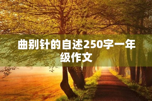 曲别针的自述250字一年级作文
