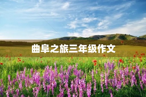 曲阜之旅三年级作文