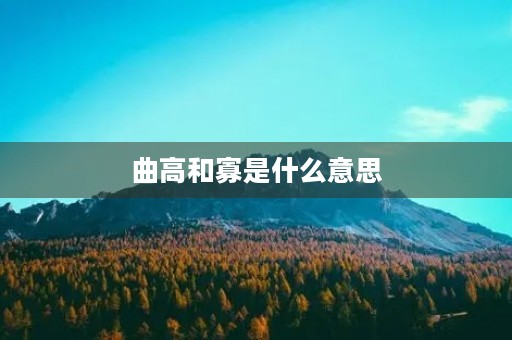 曲高和寡是什么意思