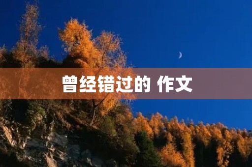 曾经错过的 作文