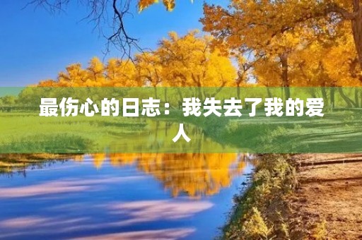 最伤心的日志：我失去了我的爱人