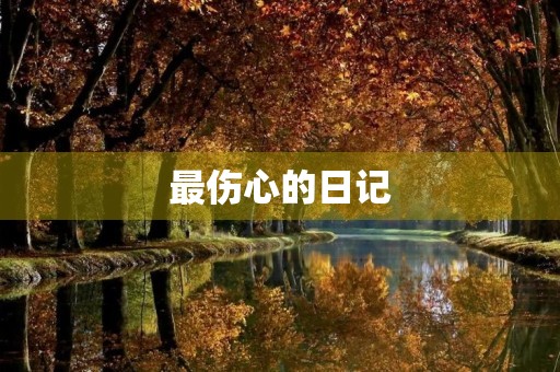 最伤心的日记 最伤心的日记