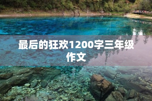 最后的狂欢1200字三年级作文