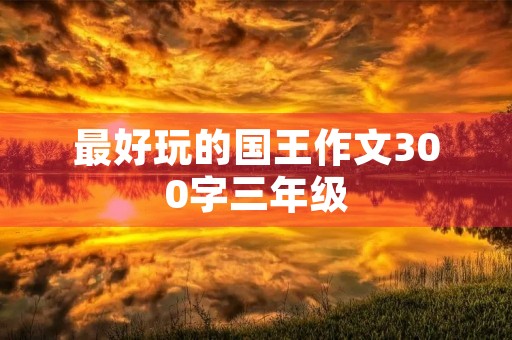 最好玩的国王作文300字三年级
