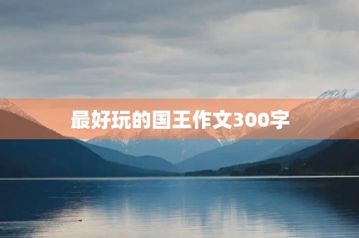 最好玩的国王作文300字