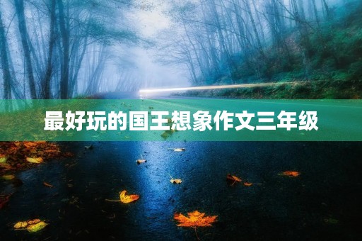 最好玩的国王想象作文三年级 最好玩的国王想象作文三年级