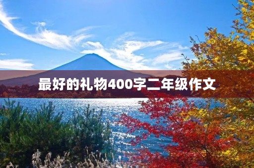 最好的礼物400字二年级作文