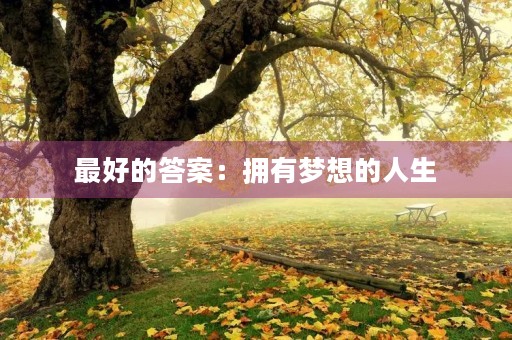 最好的答案:拥有梦想的人生 最好的答案:拥有梦想的人生