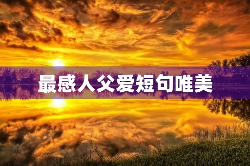 最感人父爱短句唯美(父爱简短金句) 最感人父爱短句唯美(父爱简短金句)