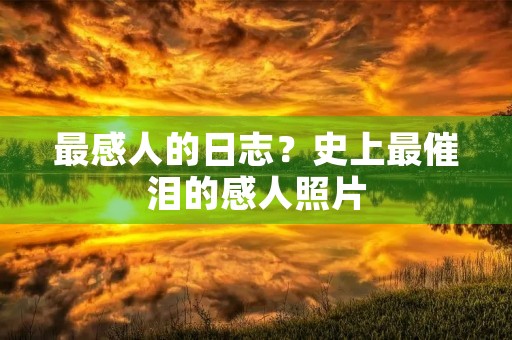 最感人的日志?史上最催泪的感人照片 最感人的日志?史上最催泪的感人照片