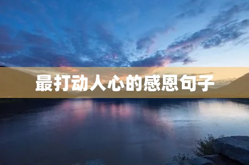 最打动人心的感恩句子(最打动人心的感谢句子简短)