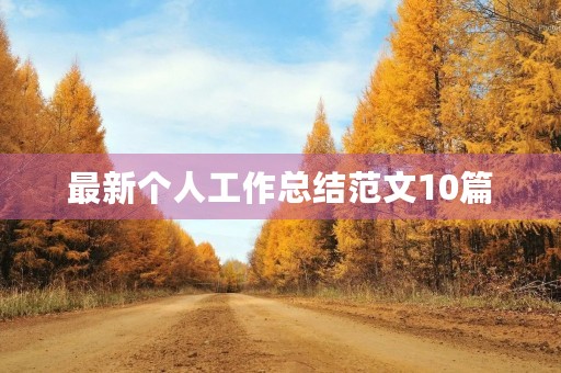 最新个人工作总结范文10篇