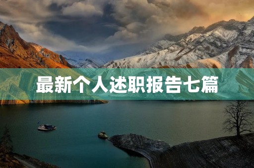 最新个人述职报告七篇