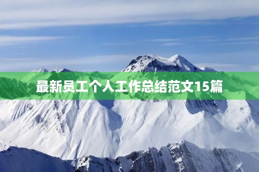 最新员工个人工作总结范文15篇
