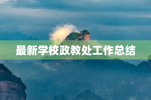 最新学校政教处工作总结