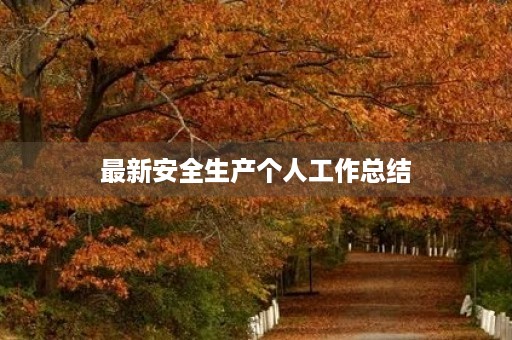 最新安全生产个人工作总结