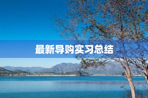 最新导购实习总结 最新导购实习总结
