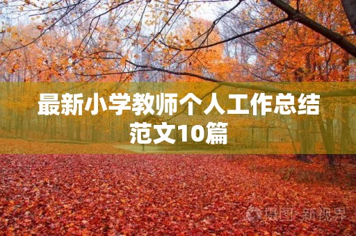 最新小学教师个人工作总结范文10篇
