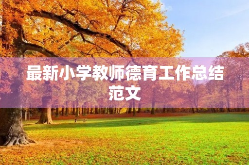 最新小学教师德育工作总结范文