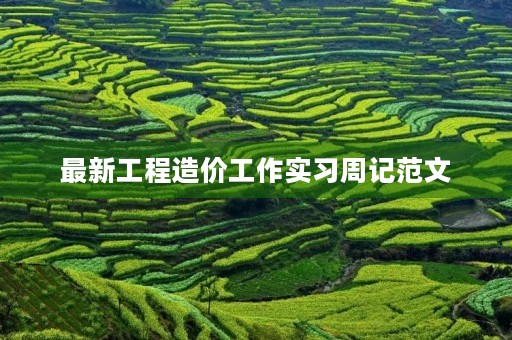 最新工程造价工作实习周记范文