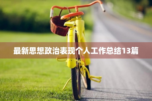 最新思想政治表现个人工作总结13篇