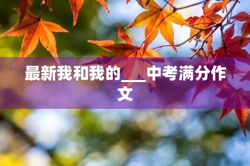 最新我和我的___中考满分作文