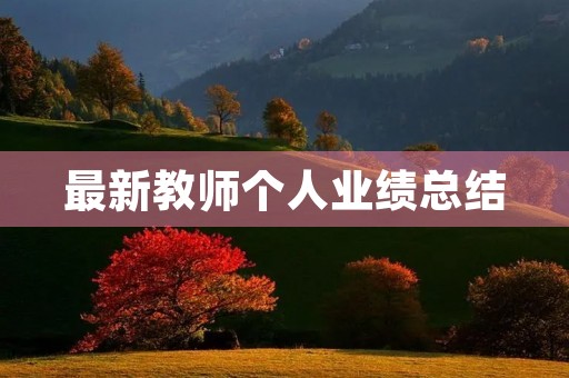 最新教师个人业绩总结