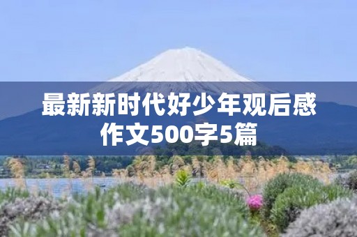 最新新时代好少年观后感作文500字5篇 最新新时代好少年观后感作文500字5篇