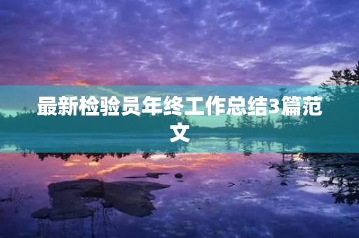 最新检验员年终工作总结3篇范文