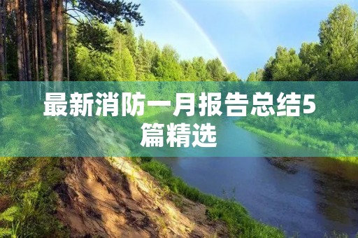 最新消防一月报告总结5篇精选