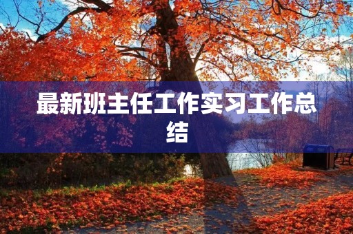 最新班主任工作实习工作总结 最新班主任工作实习工作总结